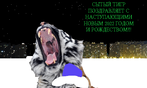 �����������: https://img.logovo-tigra.ru/ny2022.png